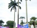 Tn dsc 7378